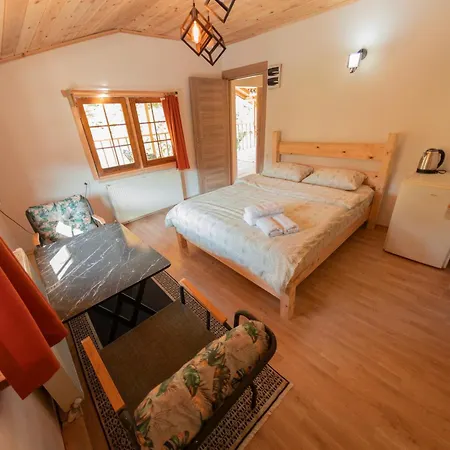 Abant Ilbey Dag Evi *